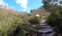 Starting out to the Fernkloof waterfall.